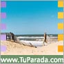 Frente al mar