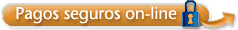 Pagos seguros online Pagos seguros online