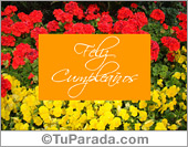 Tarjetas virtuales de cumpleaños