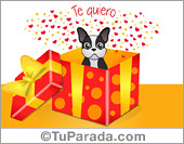 Postales de hola y saludos