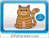 Ordena Las Letras Plagda Infantil