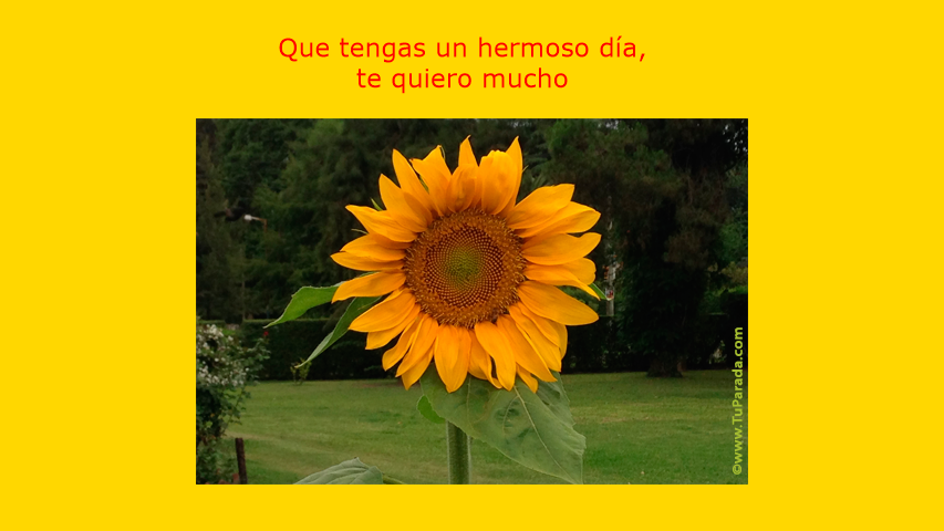 Click para ver en detalle