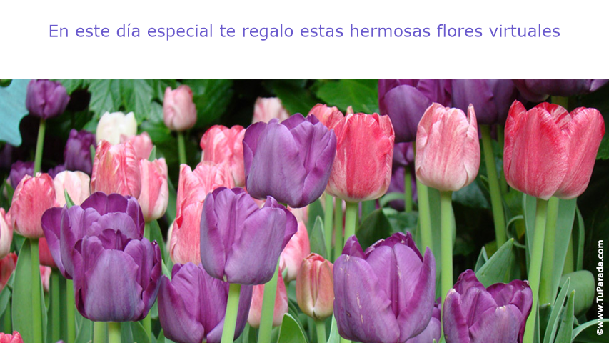 Click para ver en detalle