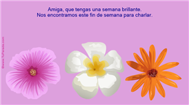 Click para ver en detalle