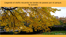 Click para ver en detalle
