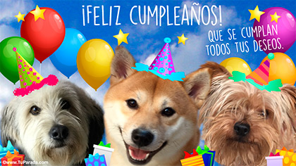 Tarjetas de cumpleaños