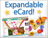 Expandable ecards